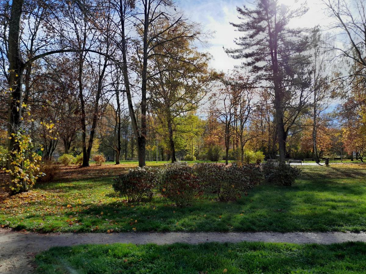 Apartment Riegerovka Cheb Luaran gambar