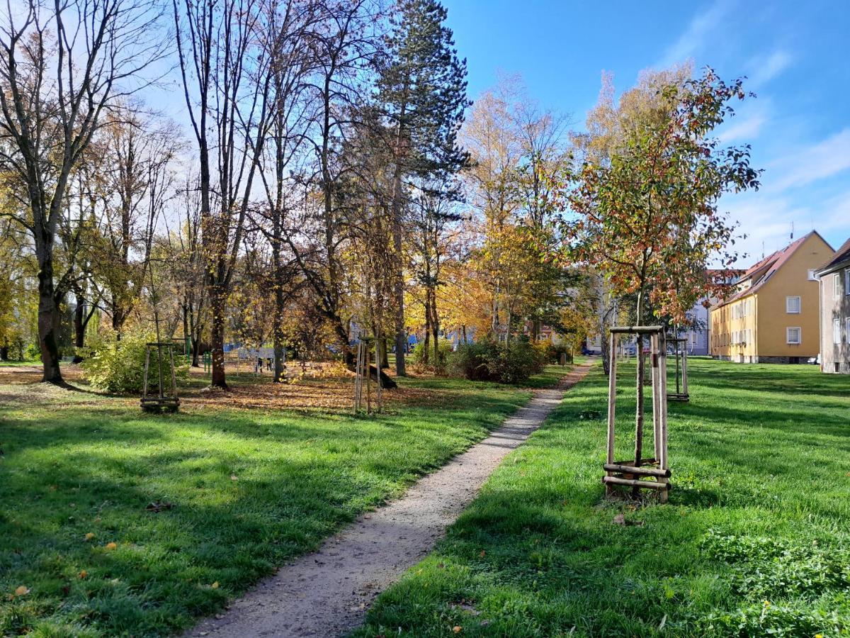 Apartment Riegerovka Cheb Luaran gambar