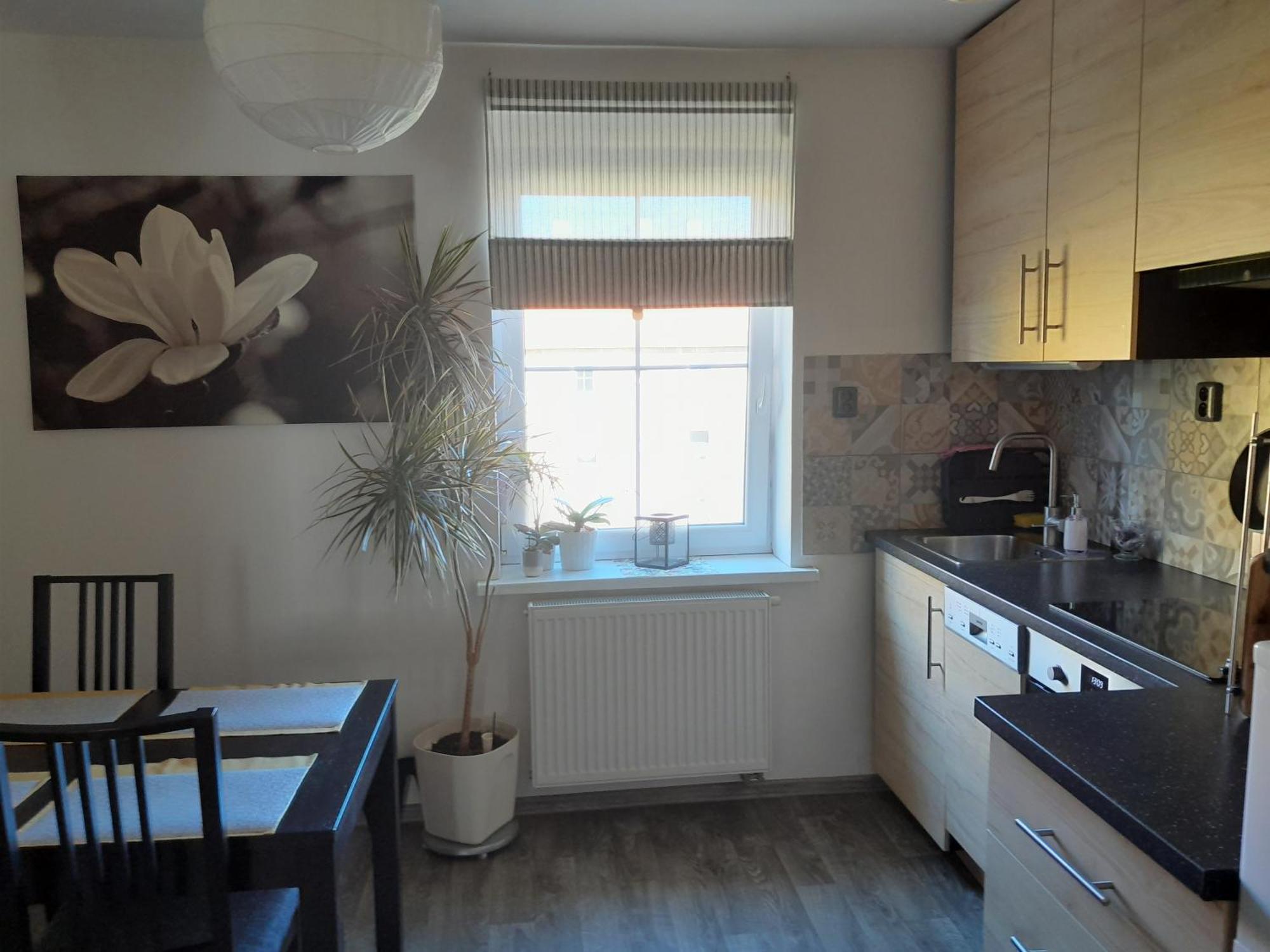 Apartment Riegerovka Cheb Luaran gambar