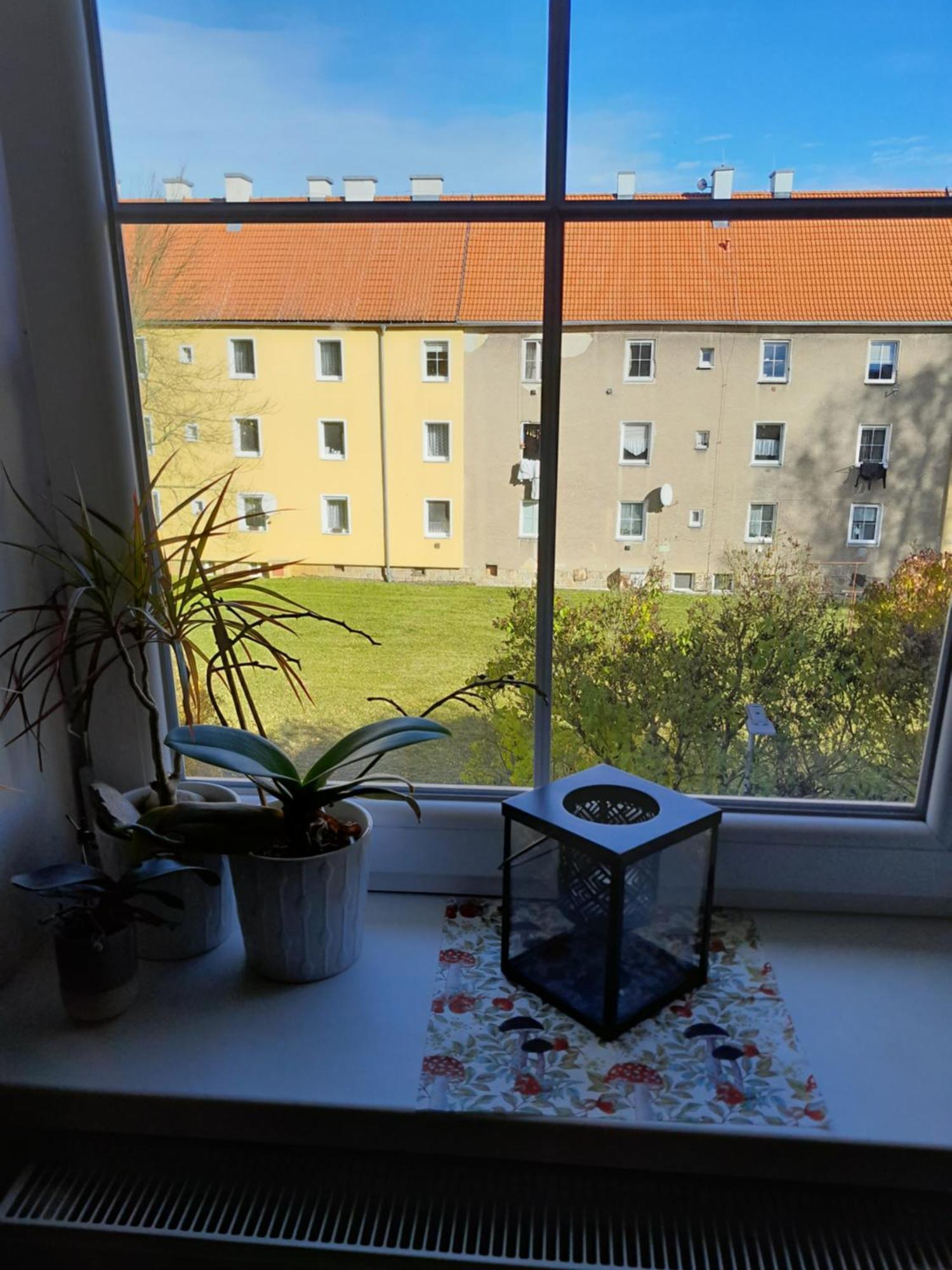 Apartment Riegerovka Cheb Luaran gambar